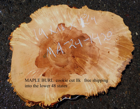 Maple Burl Slab | Craft Woods | DIY | Cookie Cut | MA24-1420