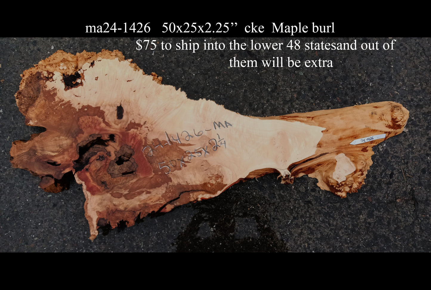 Maple Burl Slab | Craft Woods | DIY | River Table | MA24-1426