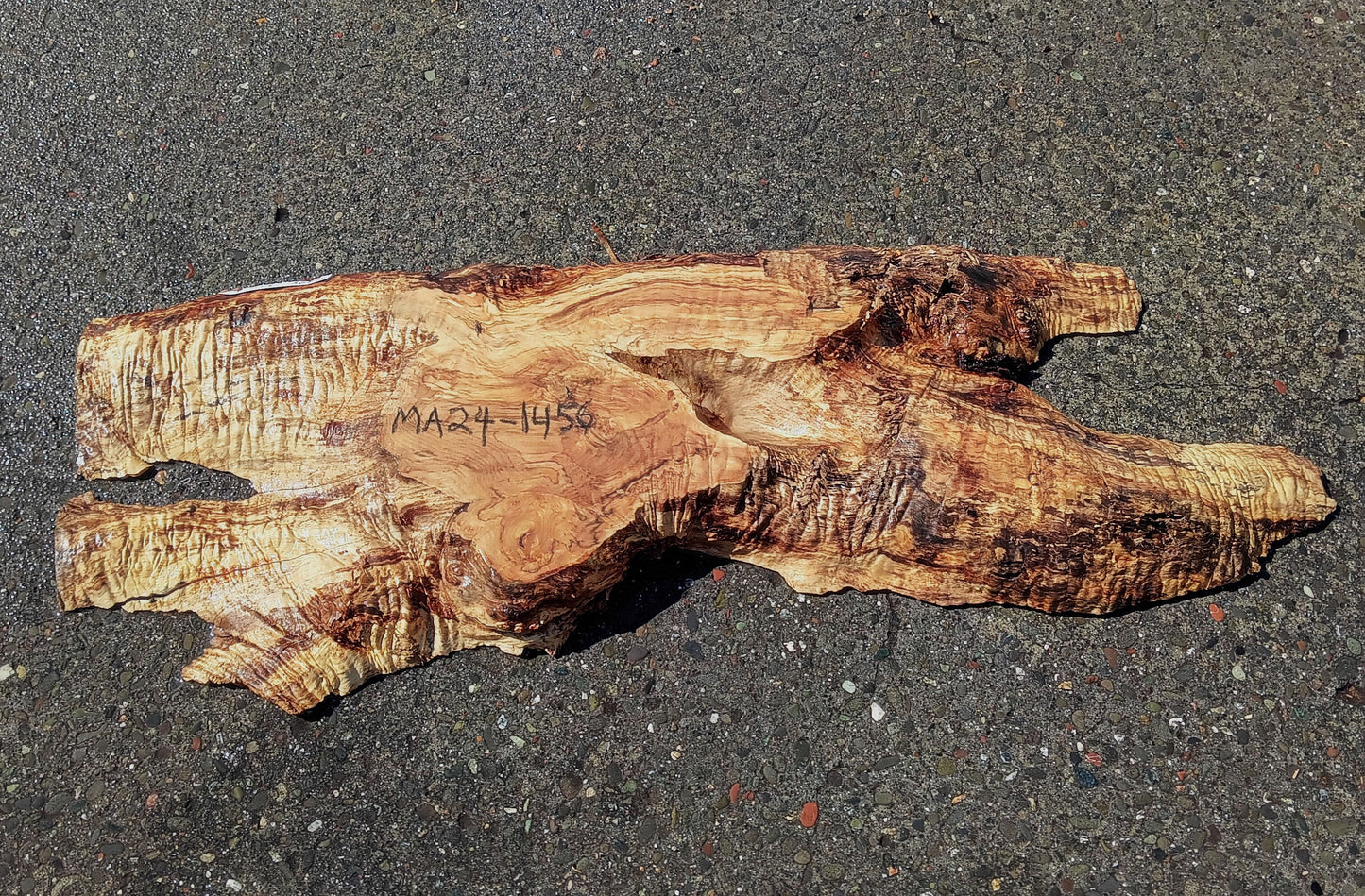 Maple Slab | Craft Woods | DIY | River Table | MA24-1456