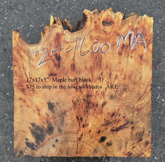 Spalted Maple burl | wood turning | Craft Woods | DIY crafts | ma24-1600