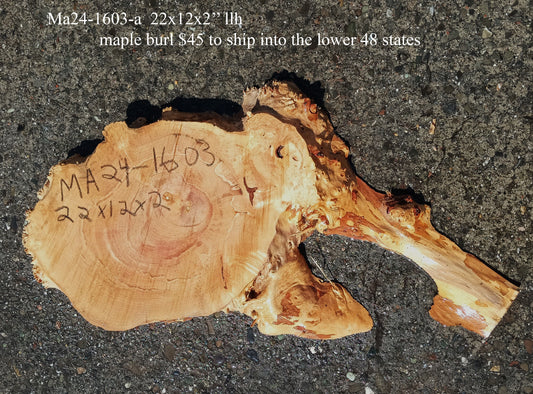 Maple Burl Slab | Craft Woods | DIY | River Table | MA24-1603