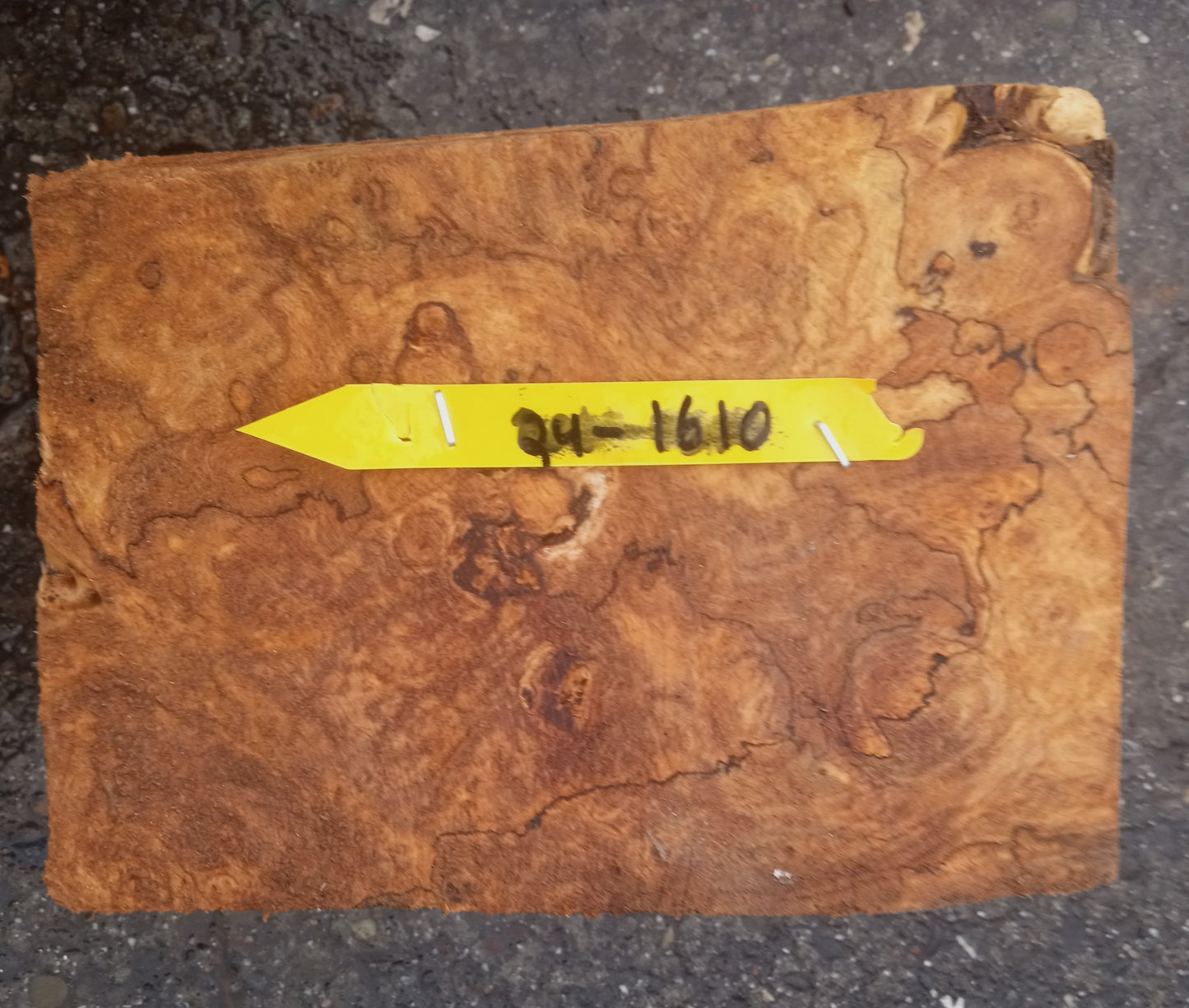 spalted Maple burl | wood turning | Craft Woods | DIY crafts | ma24-1610