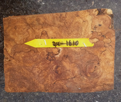 spalted Maple burl | wood turning | Craft Woods | DIY crafts | ma24-1610