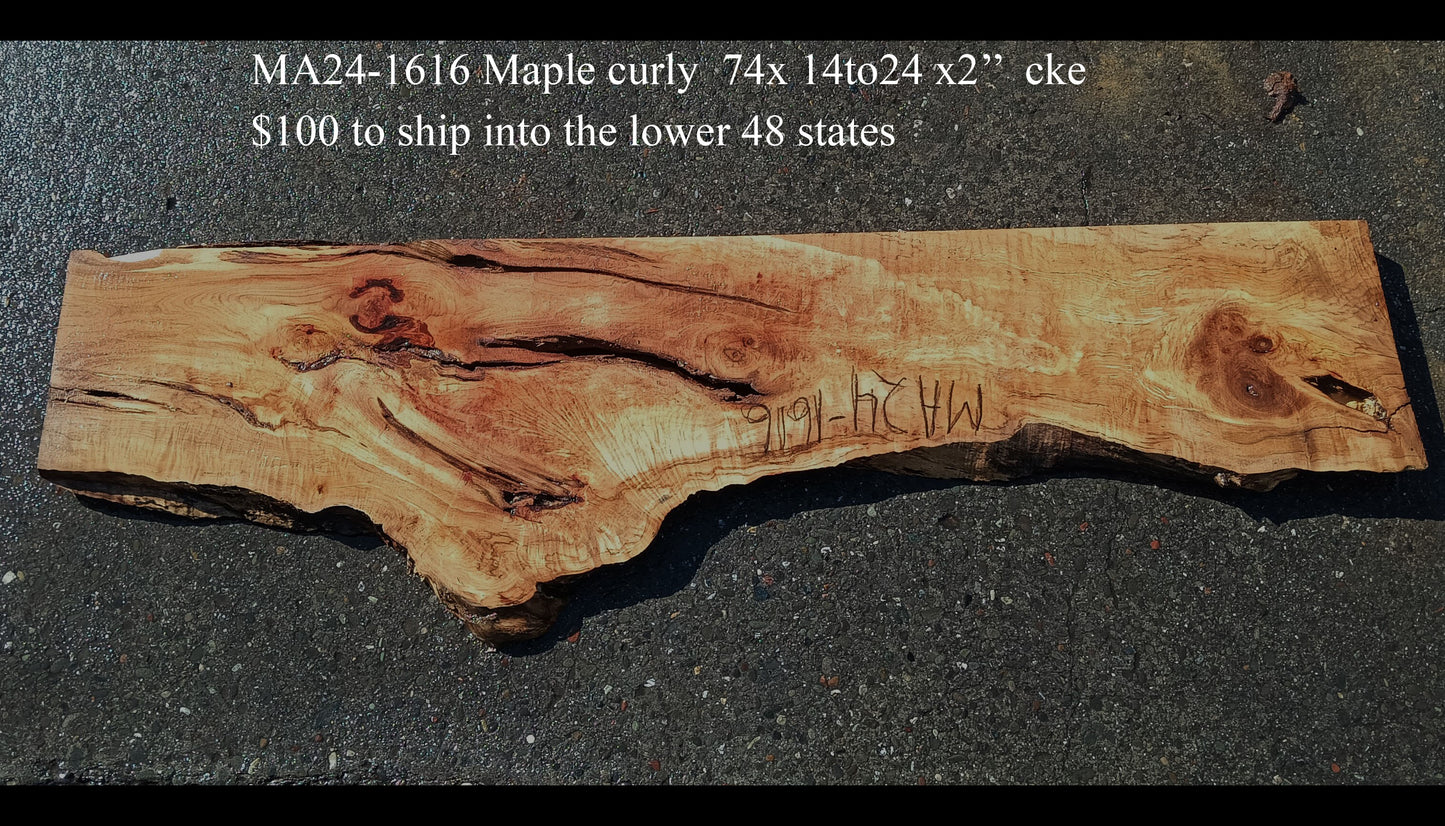 Curly Maple Slab | Craft Woods | DIY | River Table | MA24-1616