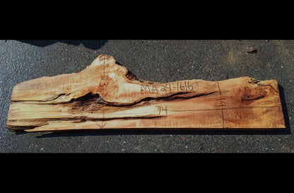 Curly Maple Slab | Craft Woods | DIY | River Table | MA24-1616