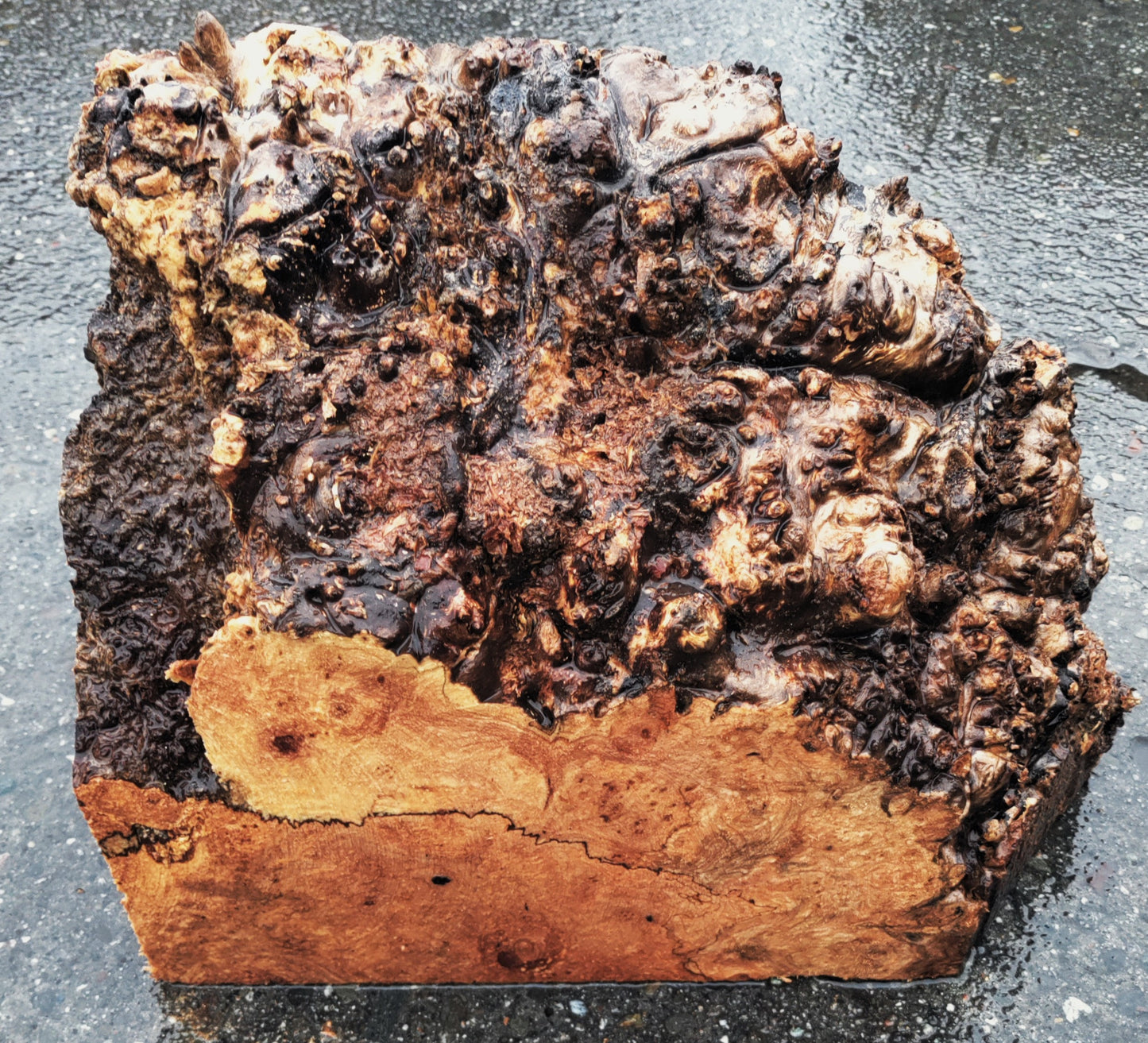 Maple Turning Block | Maple Burl | Diy Craft Wood | Bowl Turning | Ma24-1618