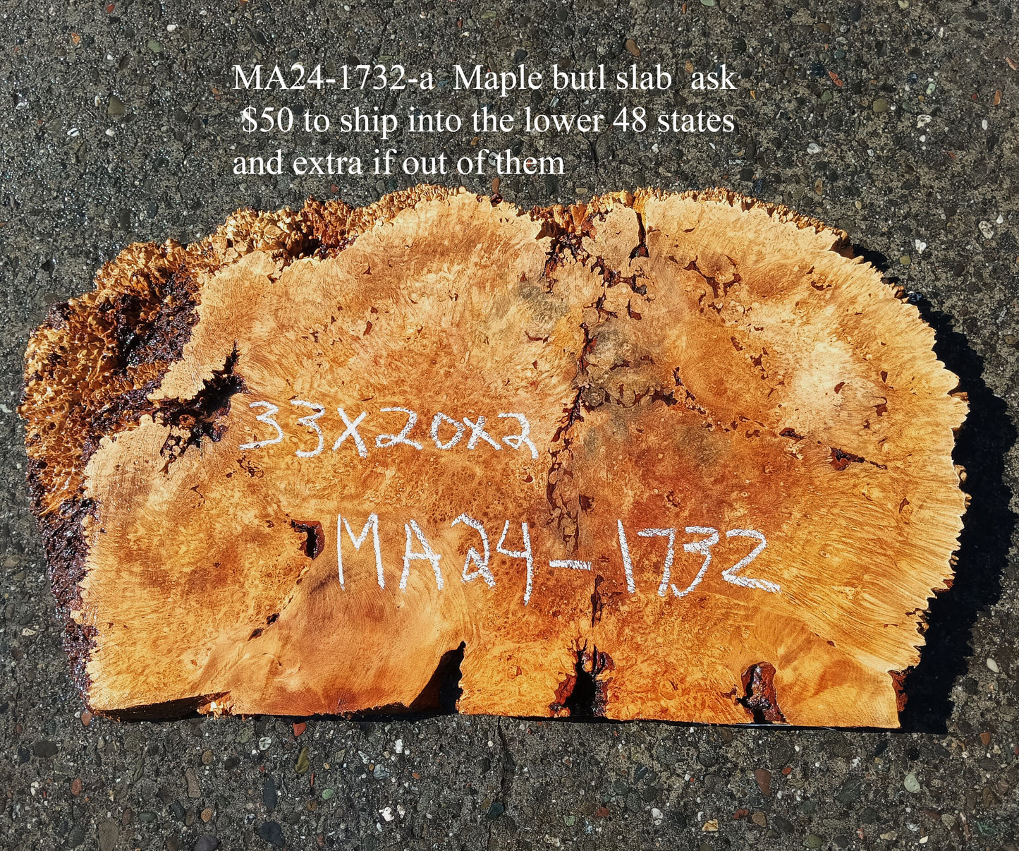 Maple Burl Slab | Craft Wood | DIY | Burl Slab | Ma24-1732