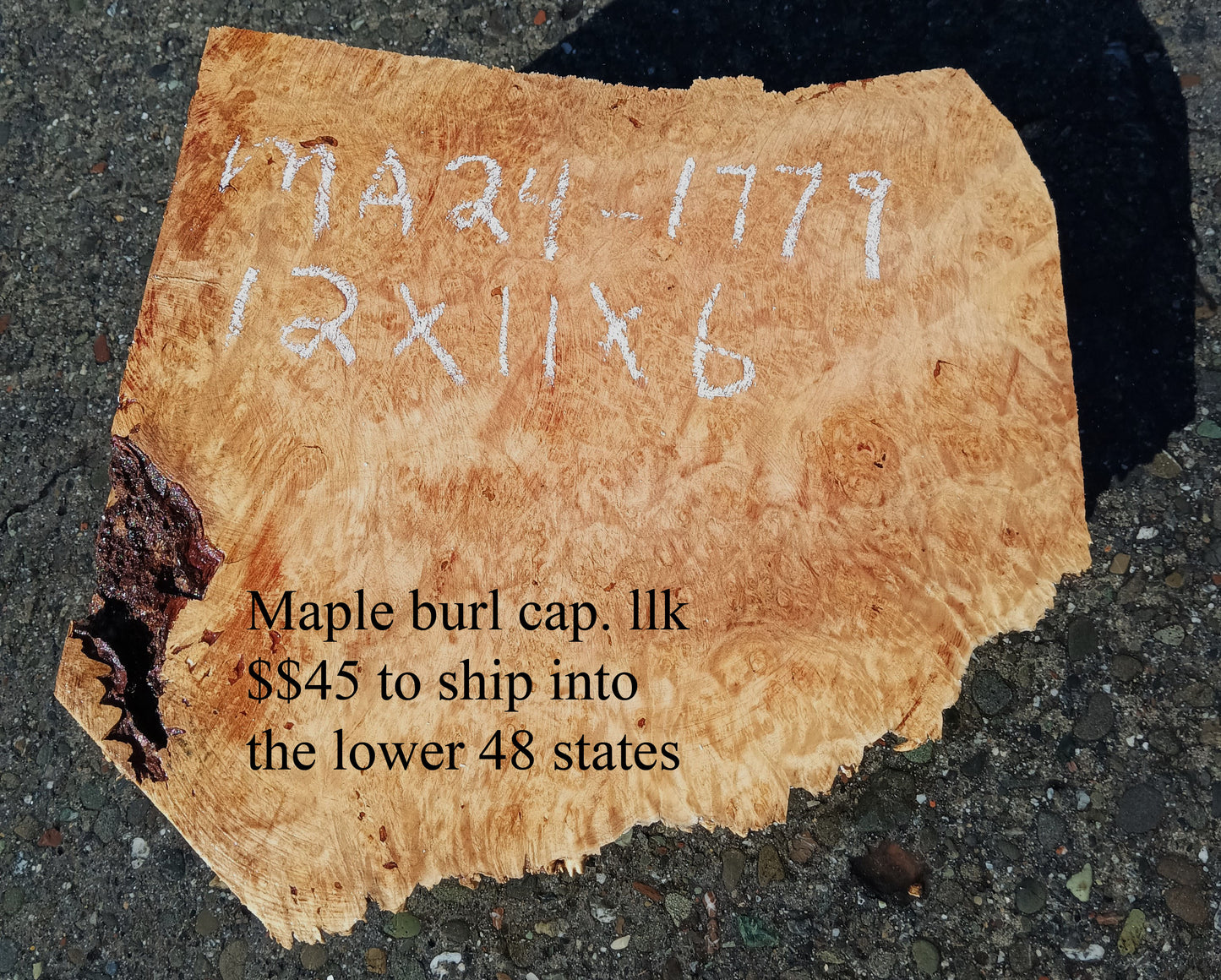 Maple Burl Cap | Craft Wood | DIY | Bowl Turning | M24-1779