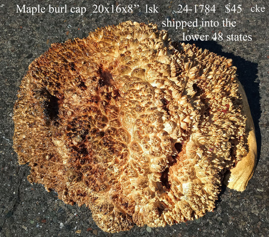 Maple Burl Block | Turning Wood | DIY | Ma24-1784