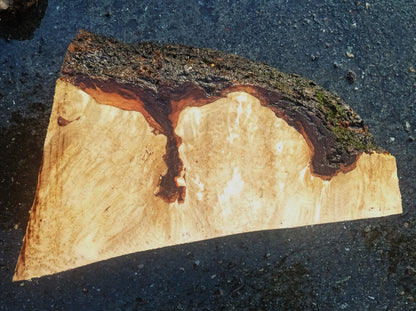 Maple Burl Block | Turning Wood | Burl Block | Ma24-1894