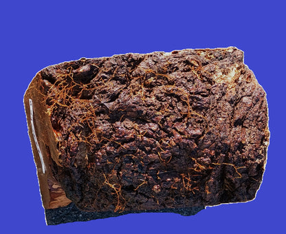 Maple Burl Block | DIY | Craft Wood | Turning Block | ma24-1899