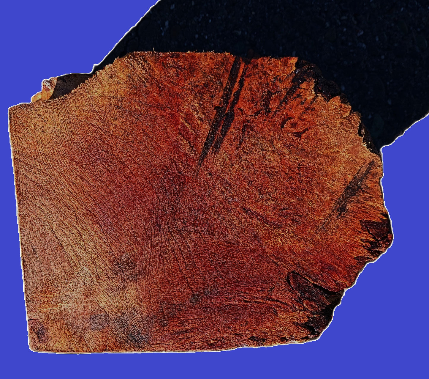 Maple Burl Block | DIY | Craft Wood | Turning Block | ma24-1899