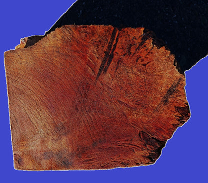 Maple Burl Block | DIY | Craft Wood | Turning Block | ma24-1899