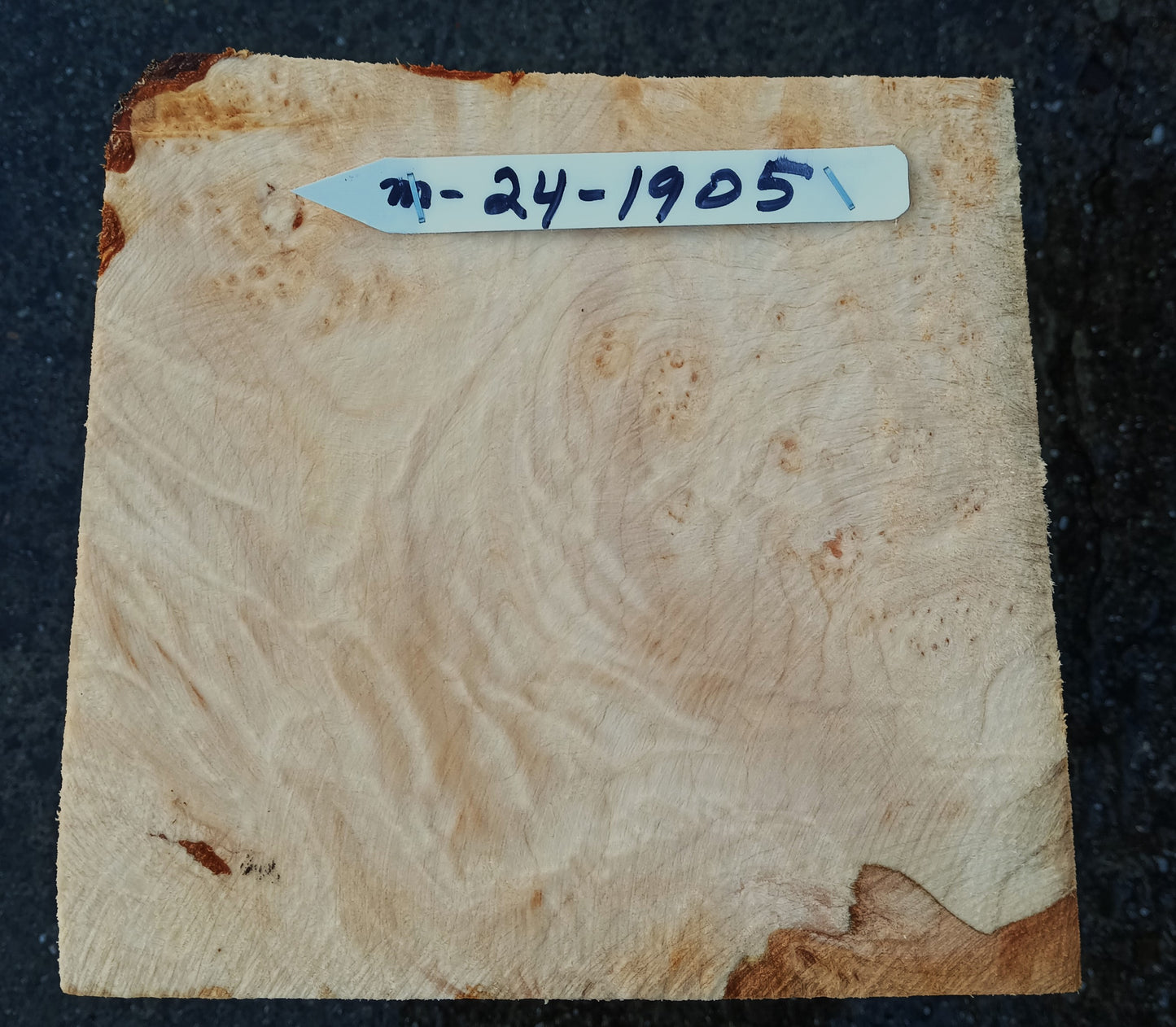 Maple Burl Block | DIY | Bowl Turning | Ma24-1905