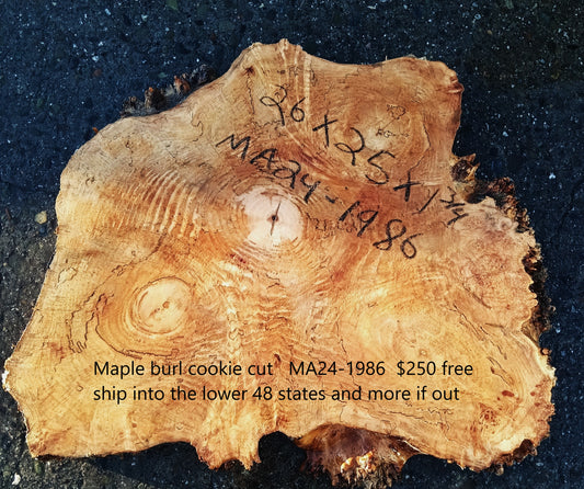 Maple Burl Slab | Craft Wood | DIY | Cookie Cut | Ma24-1986