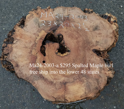 Maple Burl Slab | Spalted and Burl | DIY | Cookie Cut | Ma24-2003