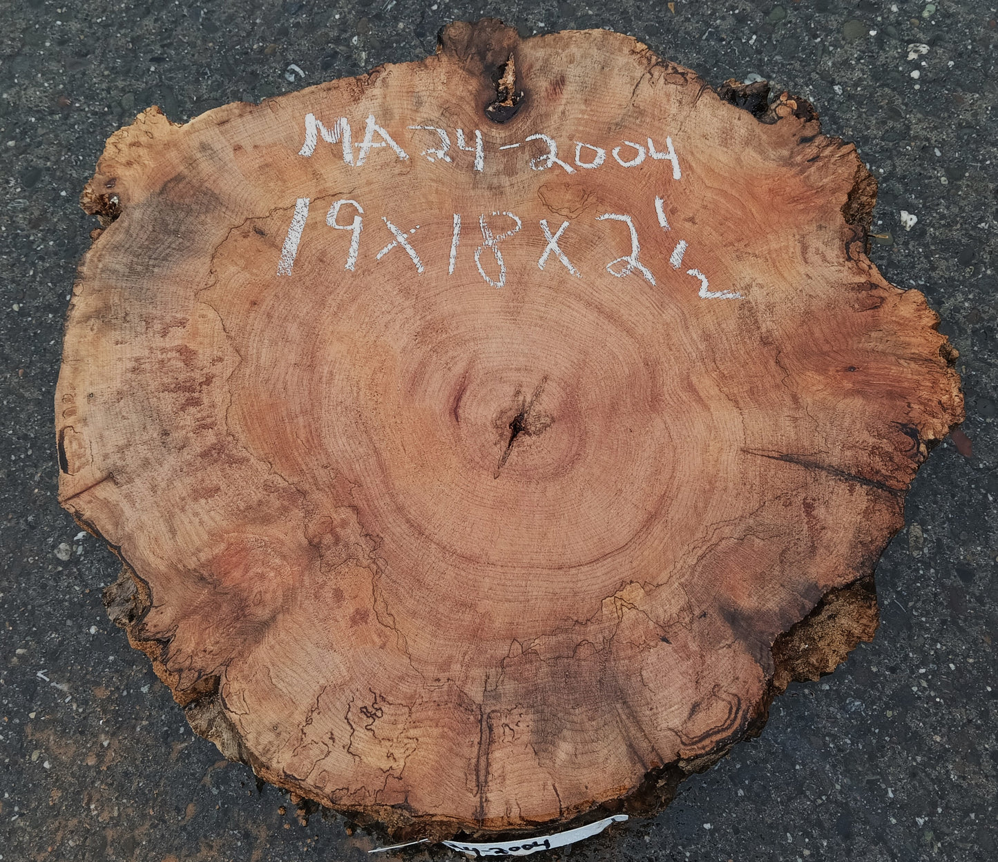 Maple Burl Slab | Spalted and Burl | DIY | Cookie Cut | Ma24-2004