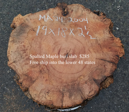 Maple Burl Slab | Spalted and Burl | DIY | Cookie Cut | Ma24-2004