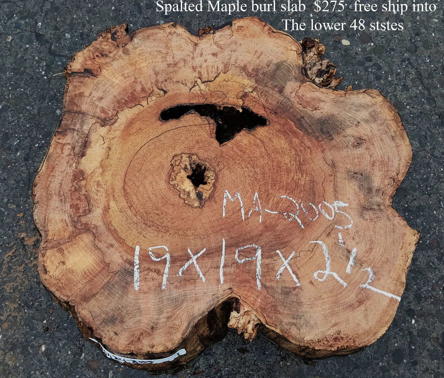 Maple Burl Slab | Spalted and Burl | DIY | Cookie Cut | Ma24-2005