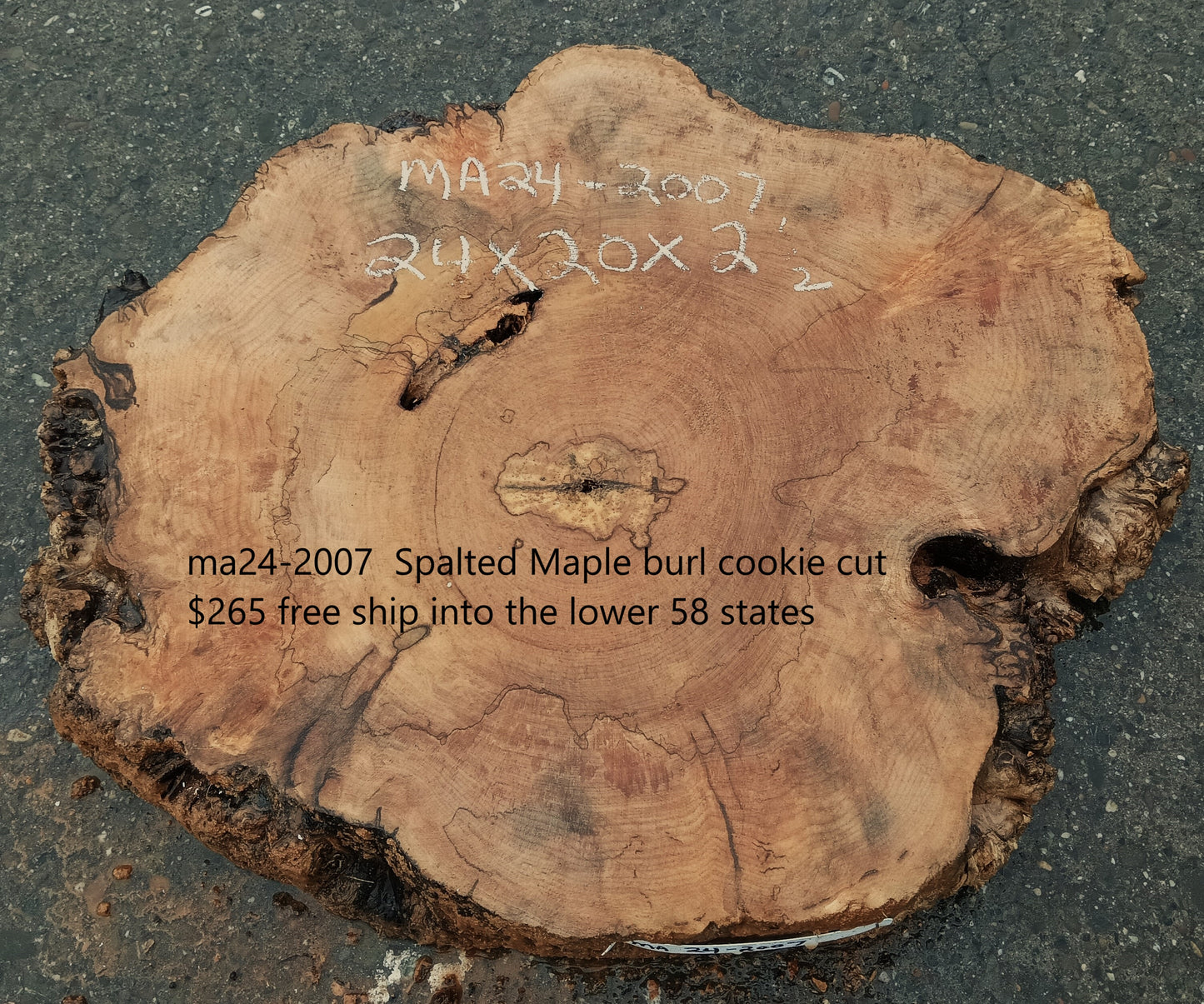 Maple Burl Slab | Craft Wood | DIY | Cookie Cut | Ma24-2007