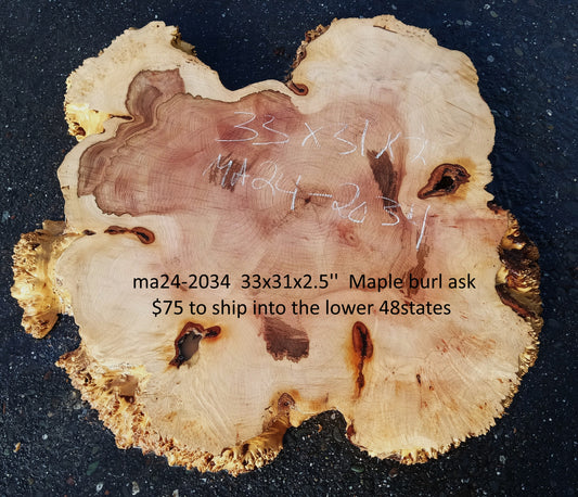 Maple Burl Slab | Craft Wood | DIY | Cookie Cut | Ma24-2034