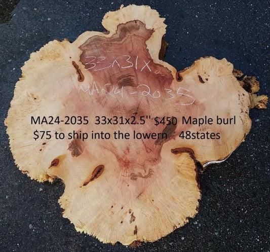 Maple Burl Slab | Craft Wood | DIY | Cookie Cut | Ma24-2035