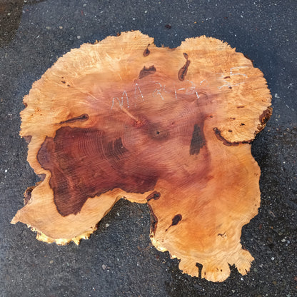 Maple Burl Slab | Craft Wood | DIY | Cookie Cut | Ma24-2035