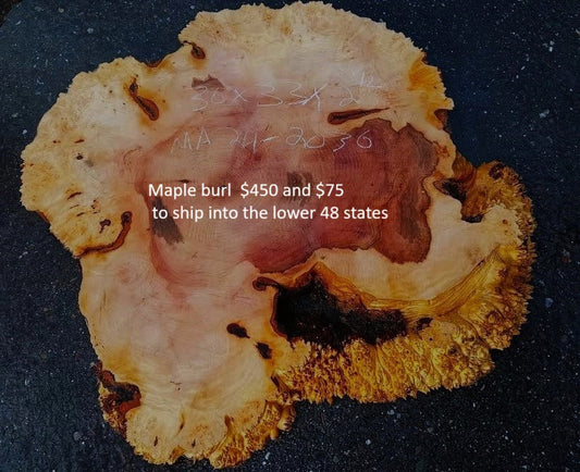 Maple Burl Slab | Burl | DIY | Cookie Cut | Ma24-2036