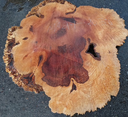 Maple Burl Slab | Burl | DIY | Cookie Cut | Ma24-2036