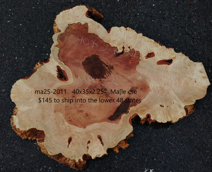 Maple Burl Slab | Craft Wood | DIY | Cookie Cut | Ma24-2071