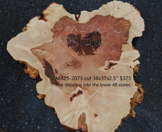 Maple Burl Slab | Craft Wood | DIY | Cookie Cut | Ma24-2073