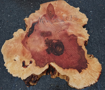 Maple Burl Slab | Craft Wood | DIY | Cookie Cut | Ma24-2073