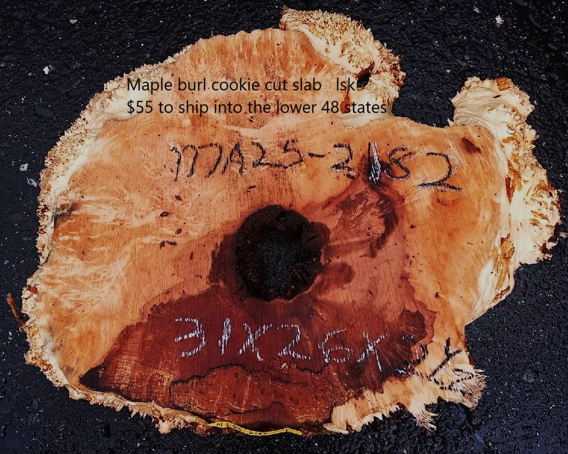 Spalted Maple Burl | Cookie Cut | River Table | DIY |  MA25-2182