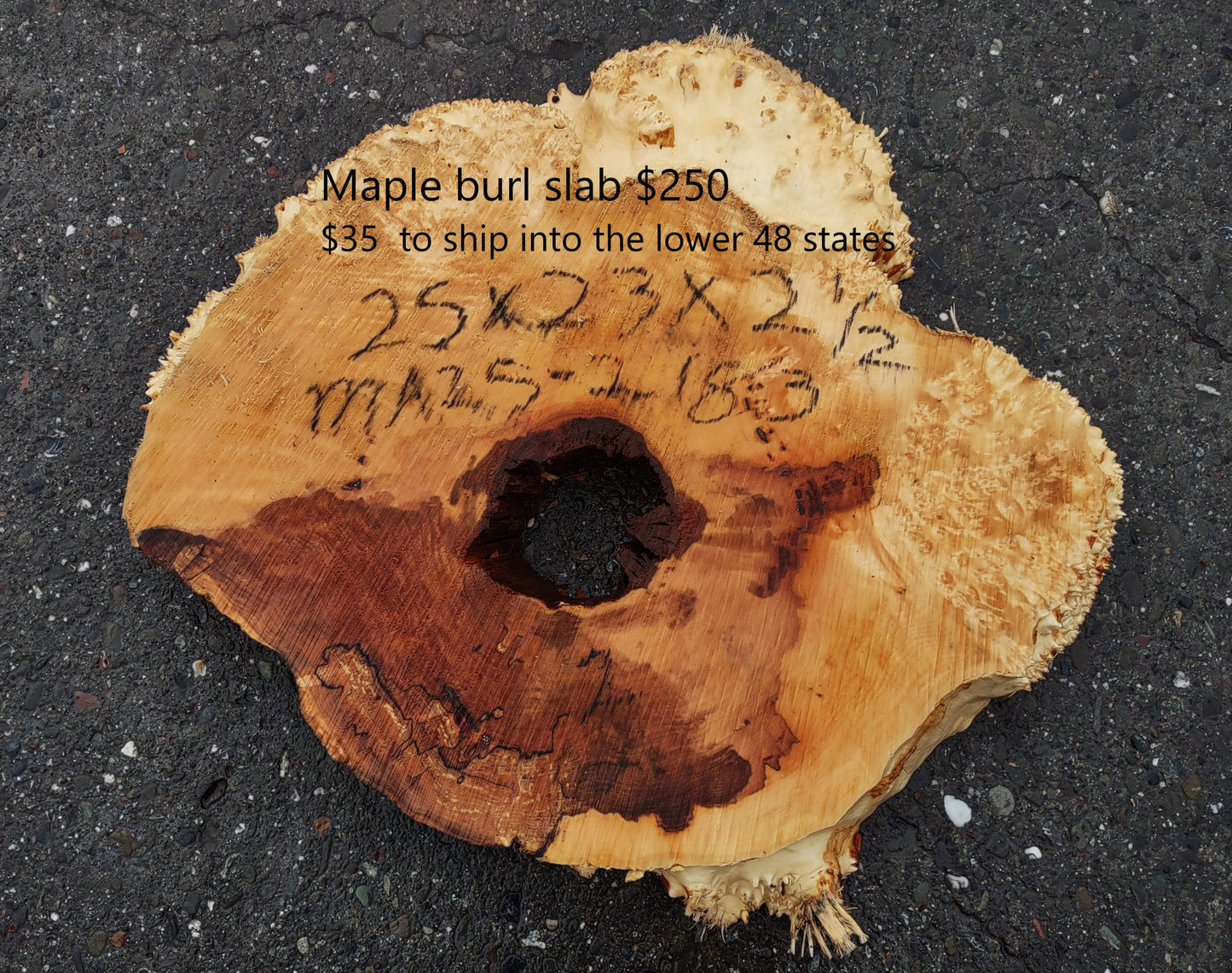 Spalted Maple Burl | Cookie Cut | River Table | DIY |  MA25-2183