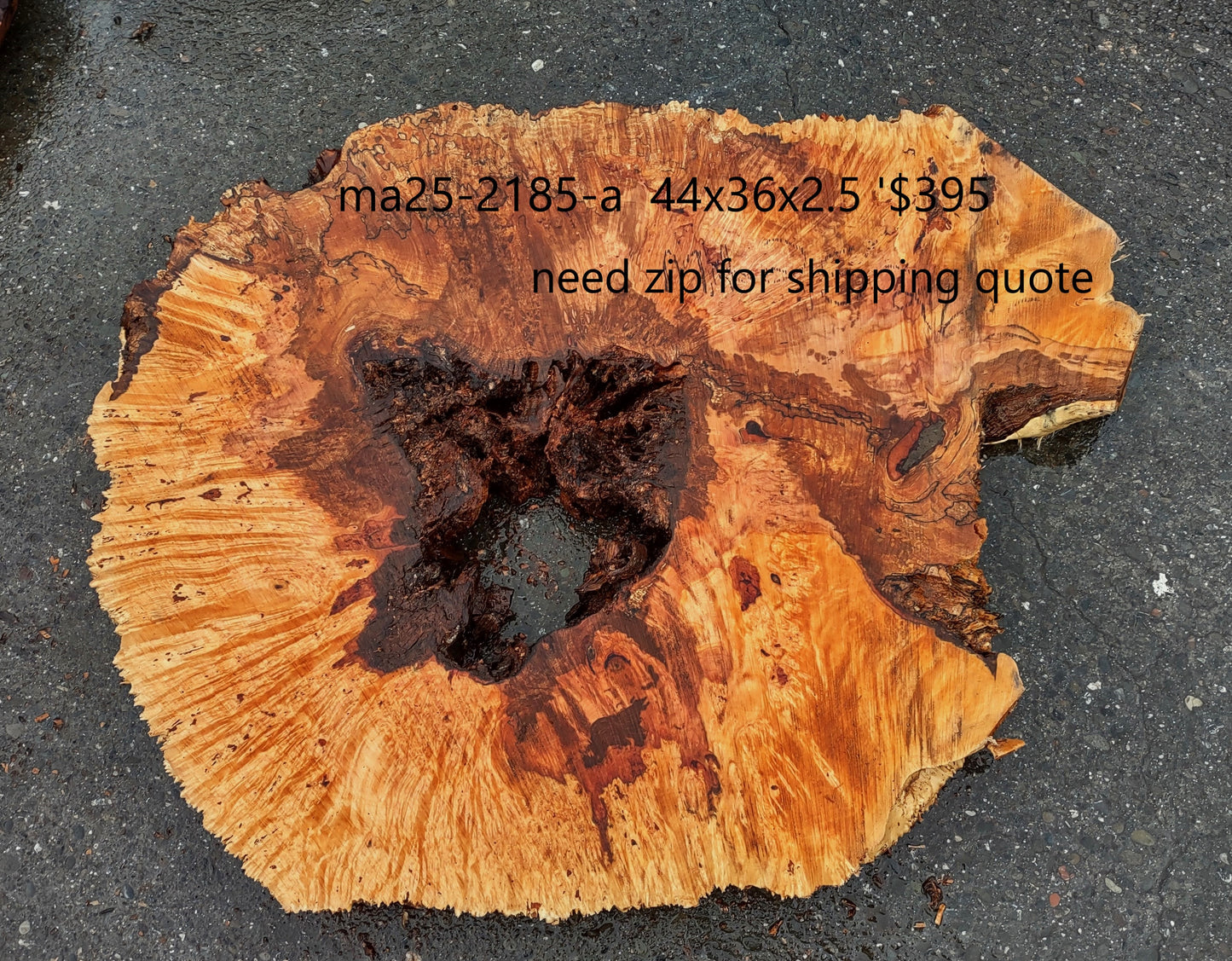 Spalted Maple Burl | Cookie Cut | River Table | DIY |  MA25-2185