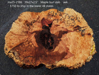 Spalted Maple Burl | Cookie Cut | River Table | DIY |  MA25-2186