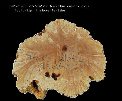 Maple Burl Cookie  | Live Edge | River Table | DIY | MA25-2565