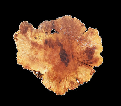 Maple Burl | Live Edge | River Table | DIY | Craft Wood | ma25-2566