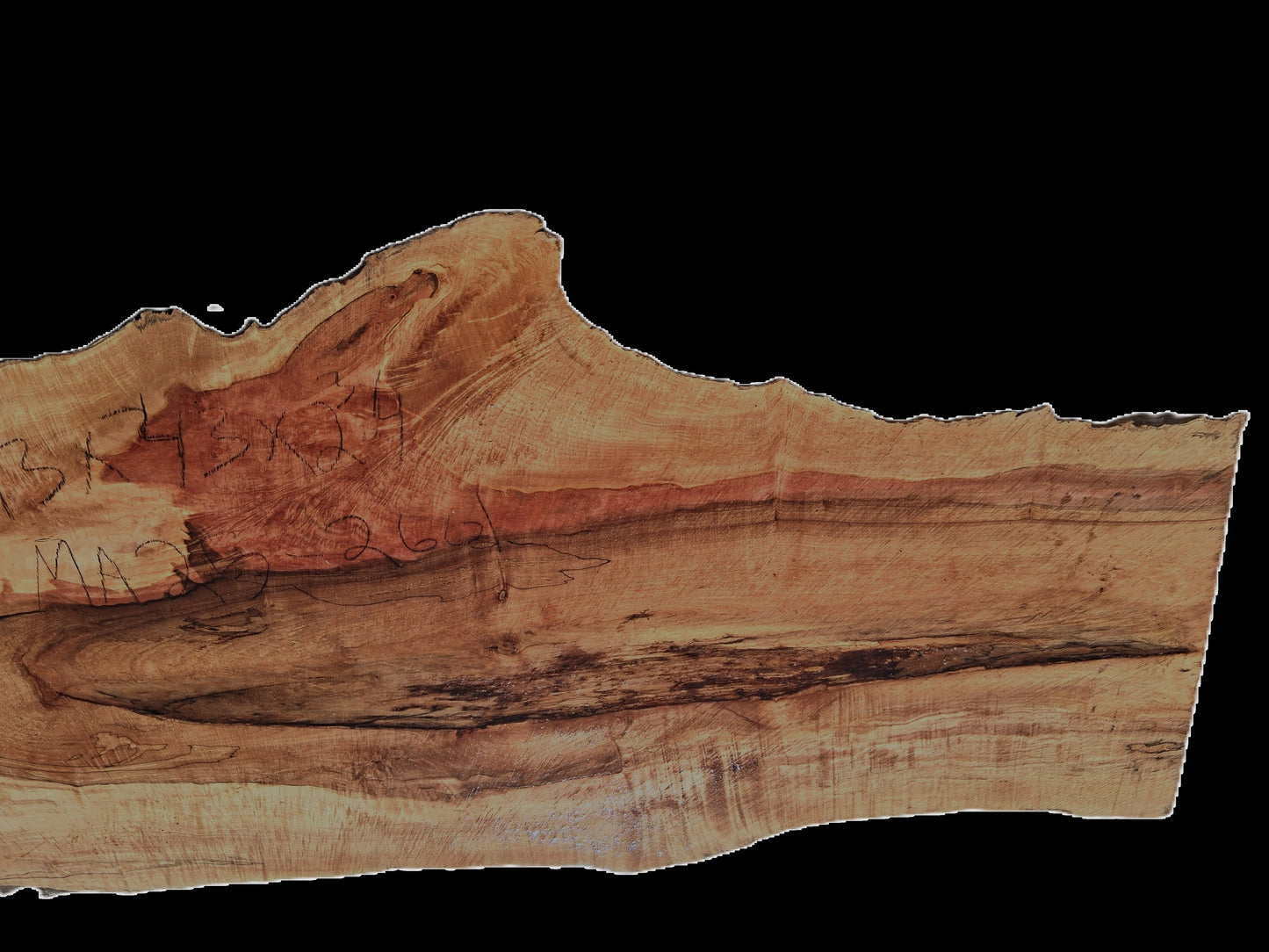 Maple Burl| DIY Crafts | Live Edge Table | River Table | MA25-2601