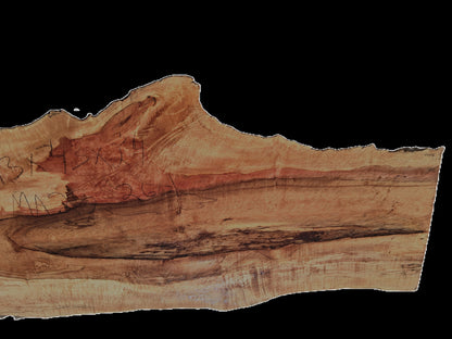 Maple Burl| DIY Crafts | Live Edge Table | River Table | MA25-2601