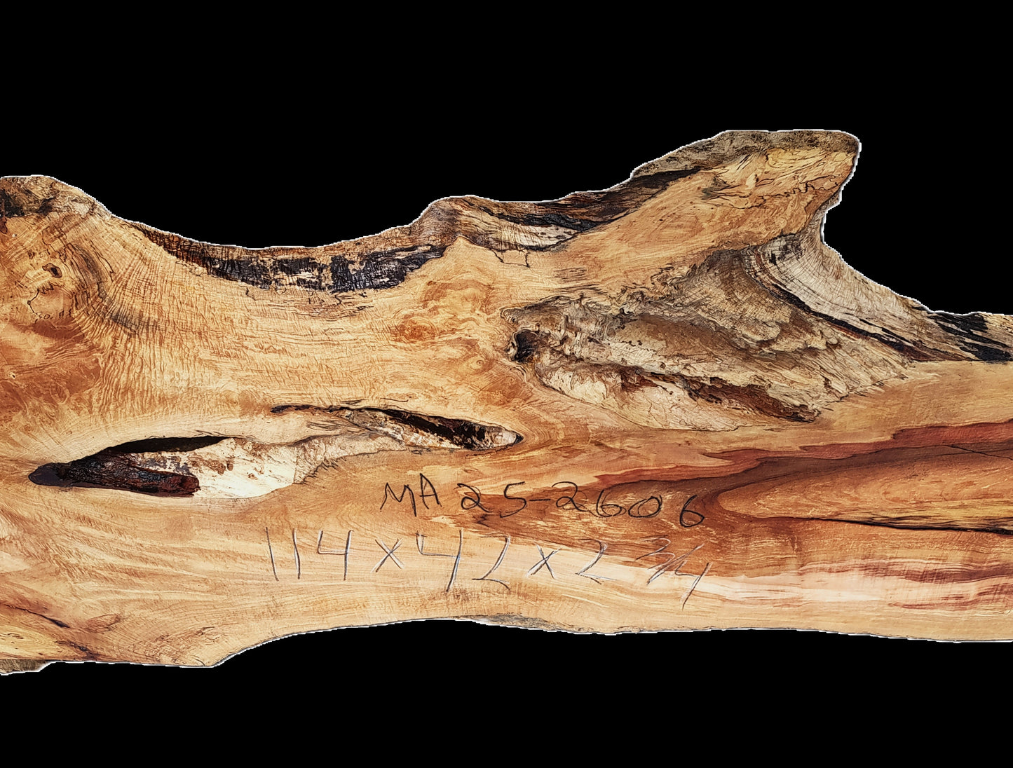 Maple Burl Slab | Bar Top | Headboard | Live Edge Table | MA25-2606