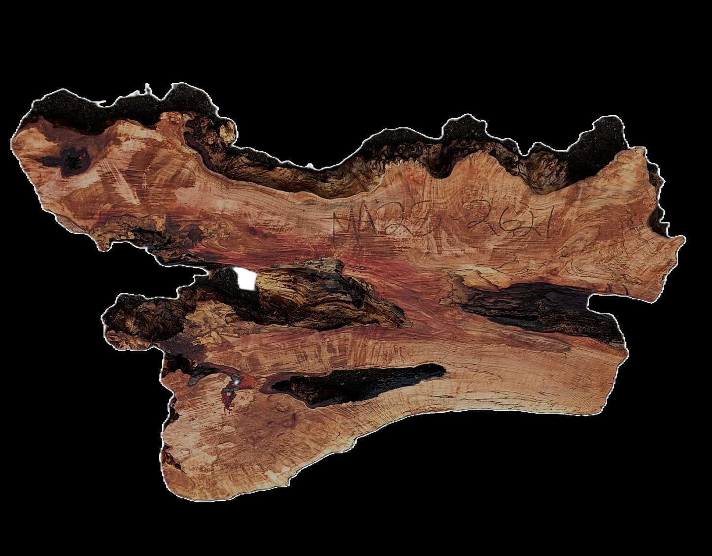 Maple Burl Slab | Bat Top | Headboard | Live Edge Table | MA25-2621