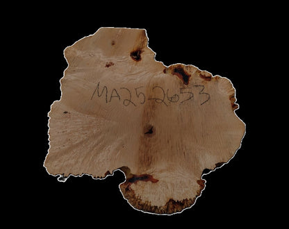 Maple Burl Cookie  | Live Edge | River Table | DIY | MA25-2653