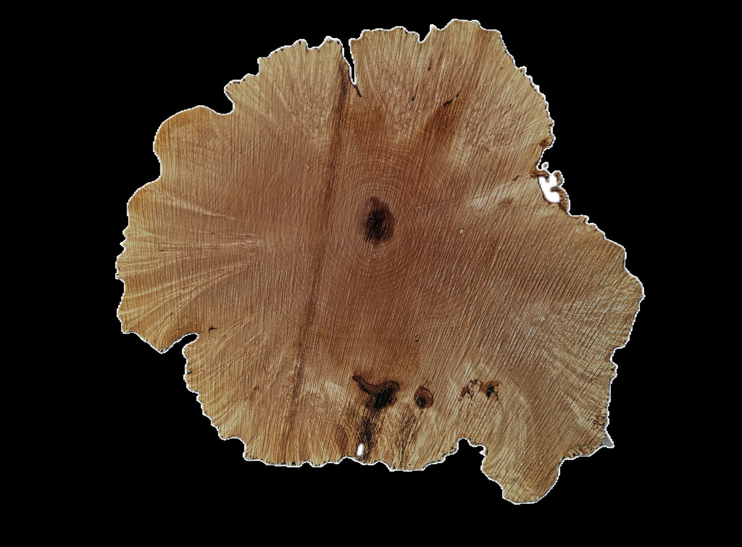Maple Burl Cookie Cut | Live Edge | River Table | DIY | MA25-2664