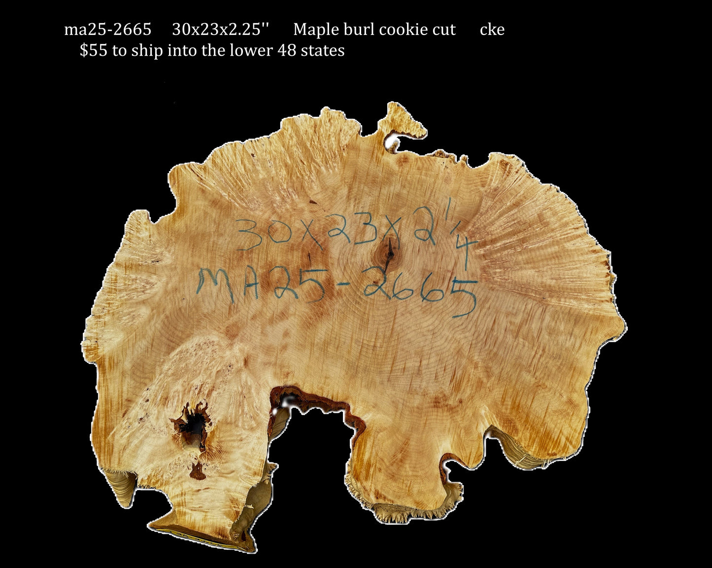 Maple Burl Cookie  | Live Edge | River Table | DIY | MA25-2665