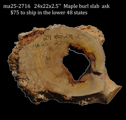 Maple Burl | Live Edge | River Table | DIY | MA25-2716