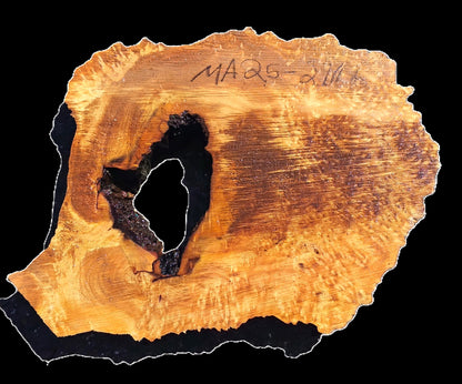 Maple Burl | Live Edge | River Table | DIY | MA25-2716
