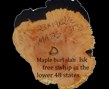 Maple Burl | Live Edge | River Table | DIY | M25-3138