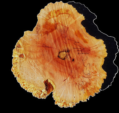 Maple Burl | Live Edge | River Table | DIY | M25-3138