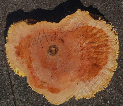 Maple Burl Slab | Live Edge | River Table | DIY | M25-3139